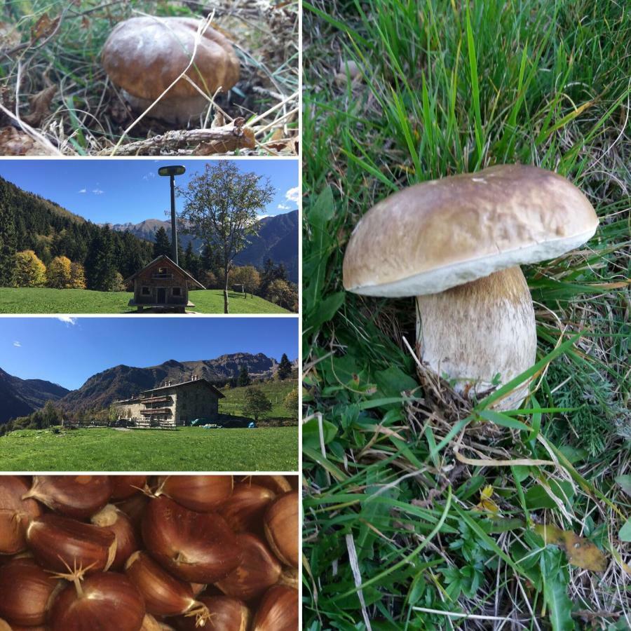 Ca' Di Racc Bauernhof *