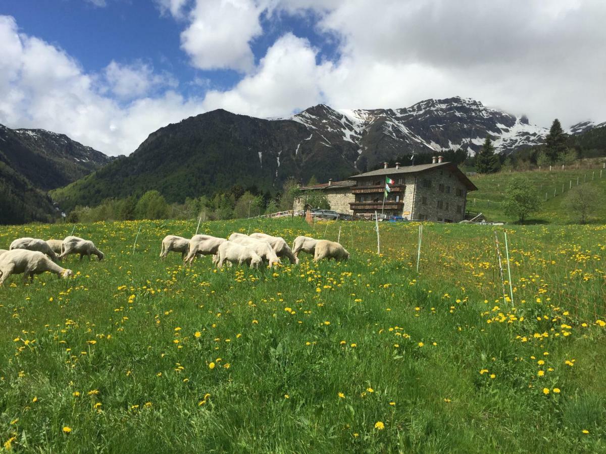 Alojamento de Turismo Rural Ca' Di Racc Gromo