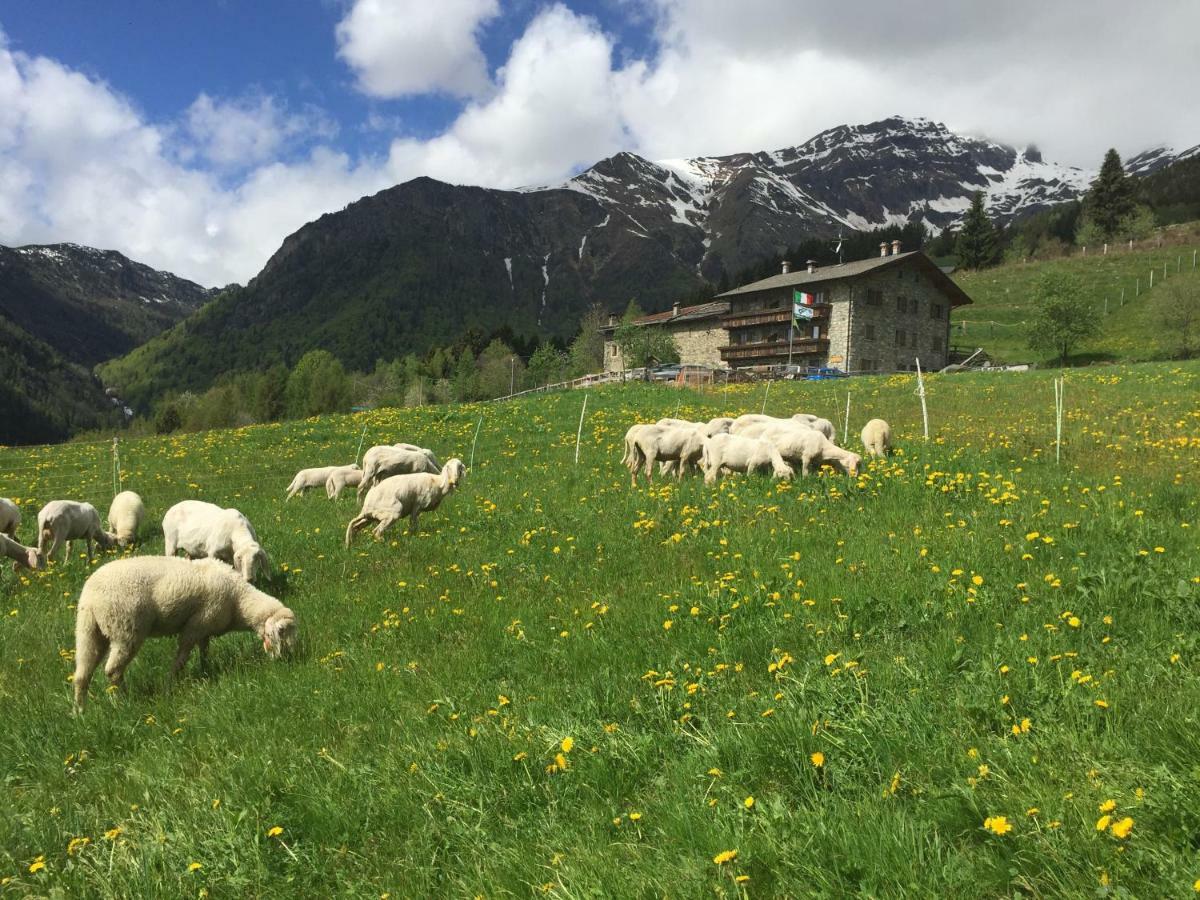 Bauernhof Ca' Di Racc *
